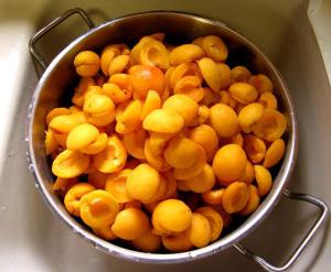 Kādas sagataves no aprikozēm ziemai var pagatavot